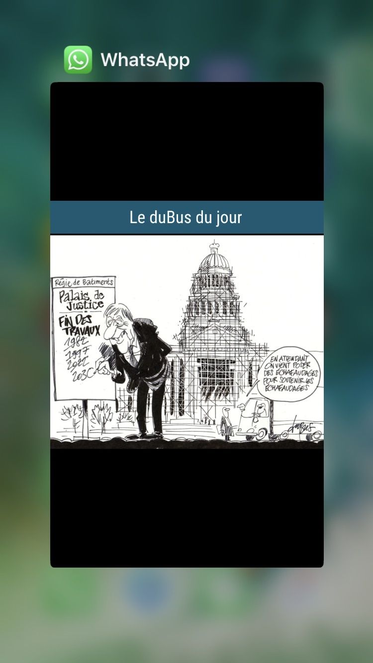 Le palais par DuBus dans la Libre