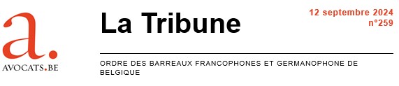 DAC 6 : Le secret professionnel de l’avocat est renforcé